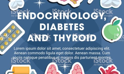 Endocrinology medicine poster with frame of medical icon. Thyroid gland, brain and heart, pill, insulin, blood glucose and pressure test banner for diagnostic clinic of endocrine system disease